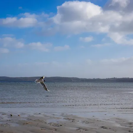 Jordsand * Schausende